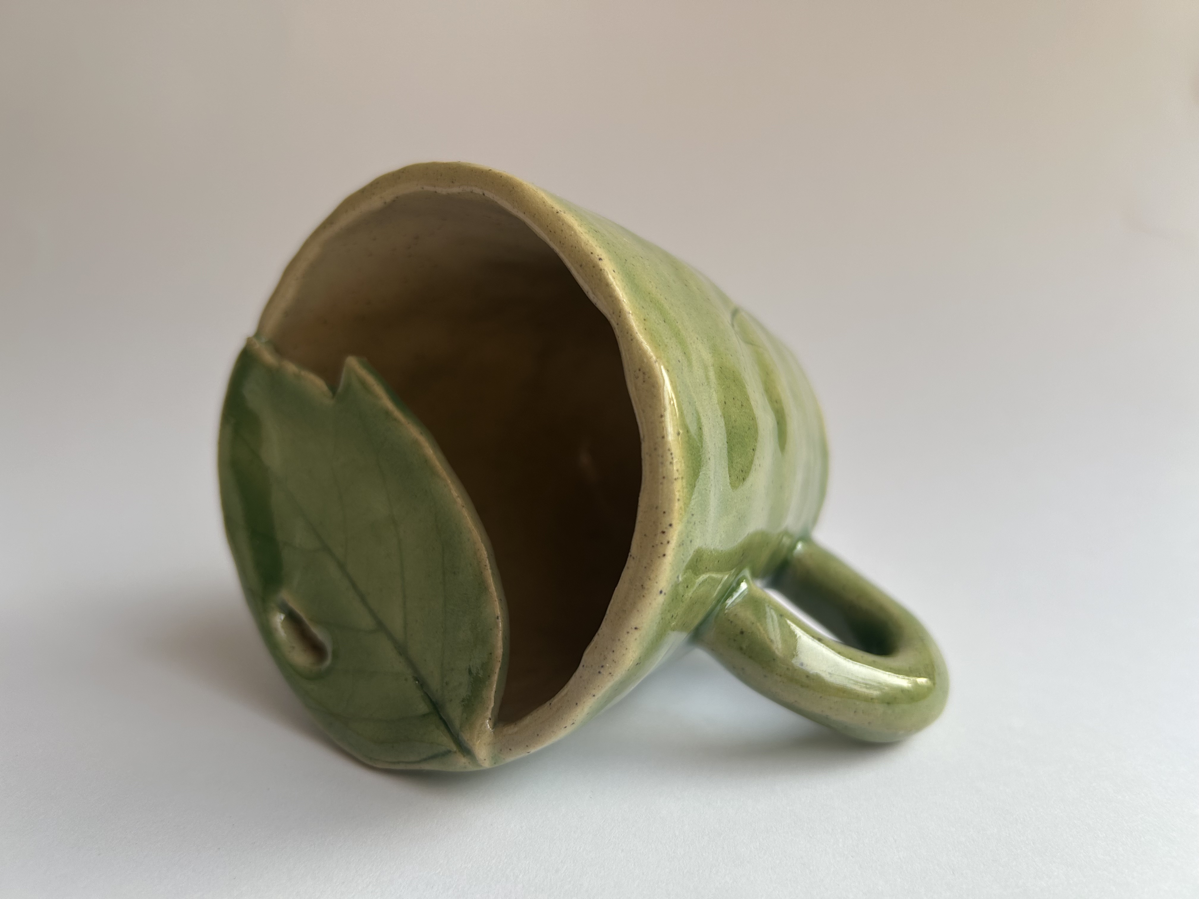 Leafy Sippy Mug